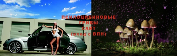 индика Белоозёрский