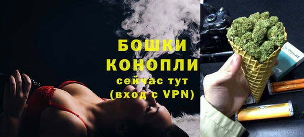 индика Белоозёрский