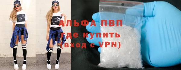 индика Белоозёрский