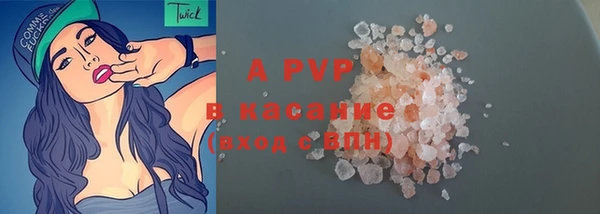 индика Белоозёрский