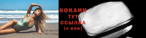 гашик Белокуриха