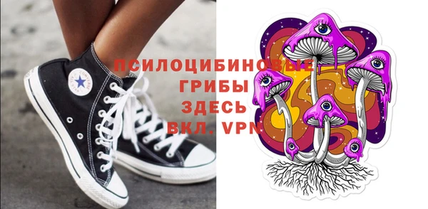 гашик Белокуриха