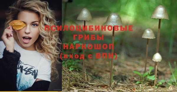 гашик Белокуриха