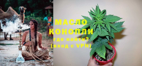 индика Белоозёрский