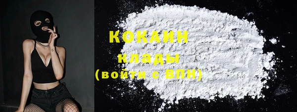индика Белоозёрский