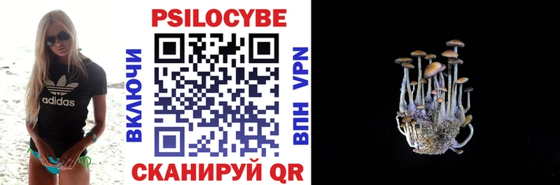 где найти наркотики  Окуловка  Галлюциногенные грибы Psilocybe 
